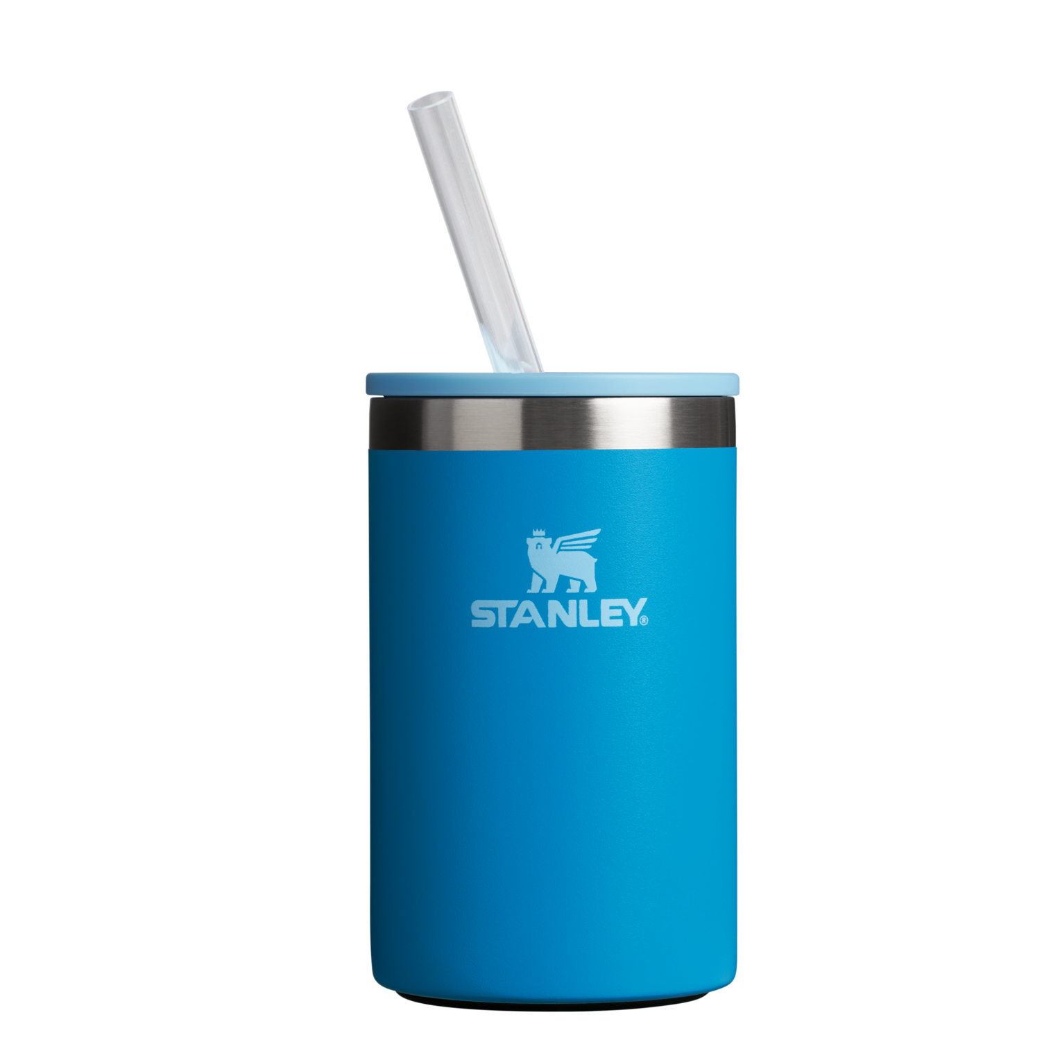 The Everyday Can Cooler Cup